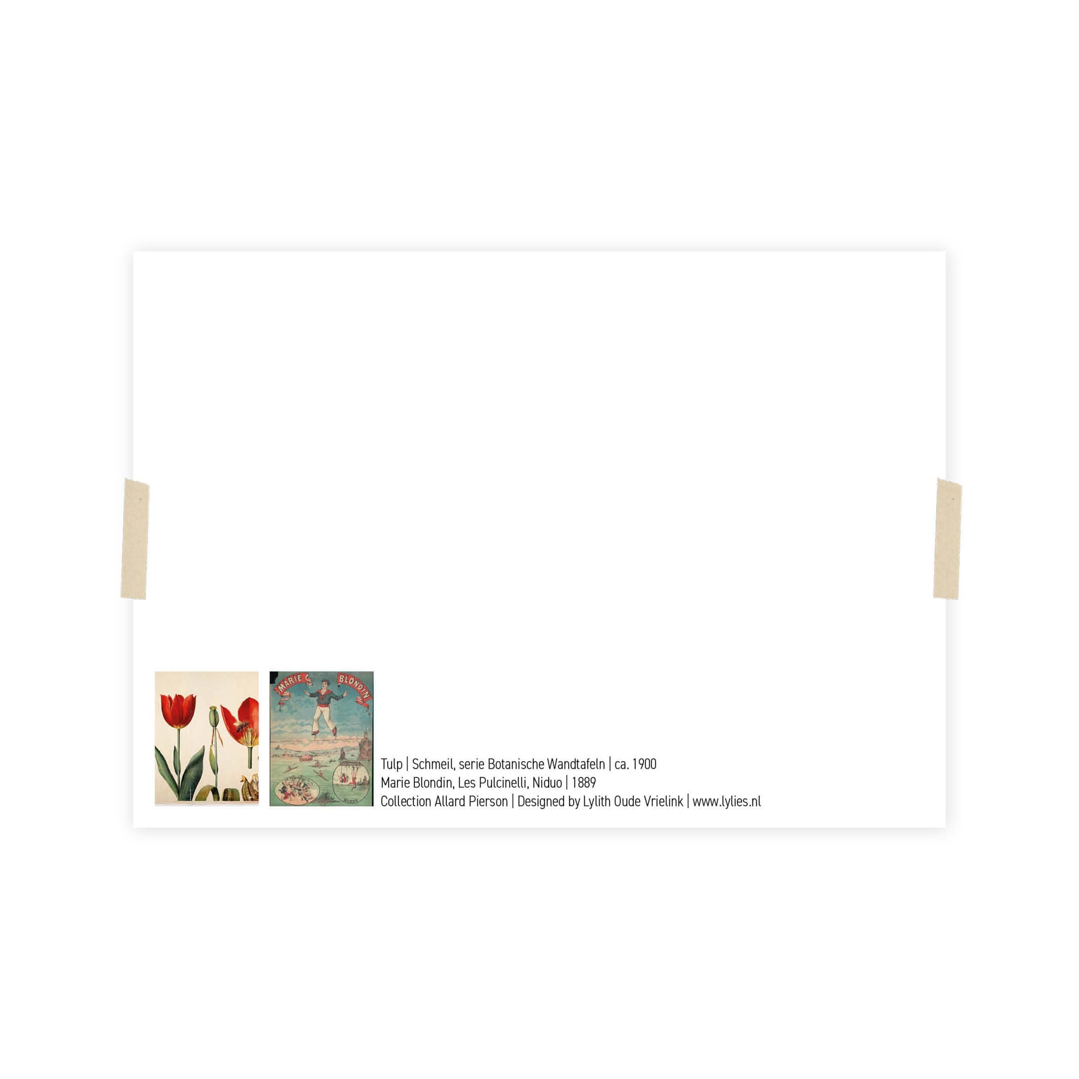 Postcard collage Allard Pierson collectie - Acrobaat tulp